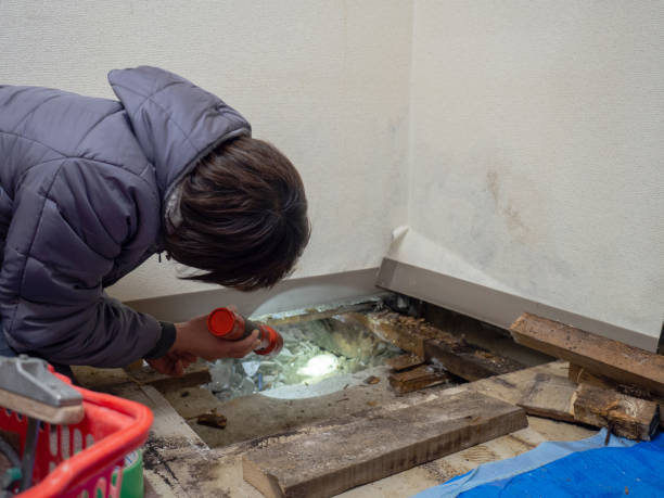 Best Asbestos and Lead Testing During Mold Inspection  in Munising, MI