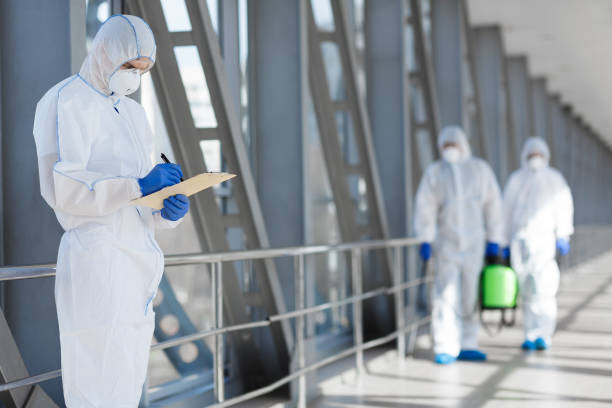 Biohazard Mold Removal in Munising, MI