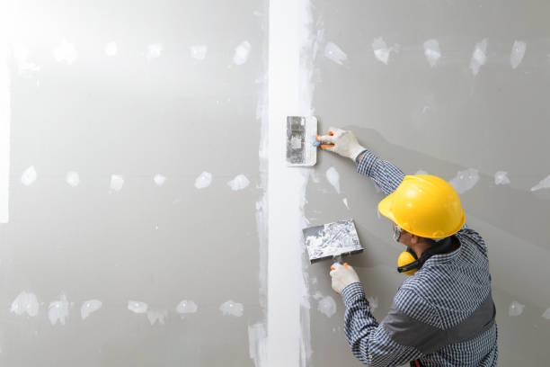 Best Environmental Consulting for Mold Prevention  in Munising, MI