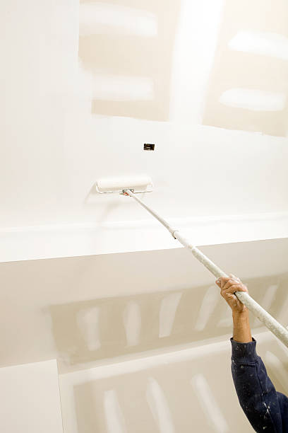 Mold Remediation for Rental Properties in Munising, MI