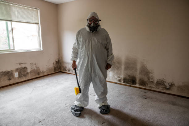 Best Mold Removal for HVAC Installations  in Munising, MI